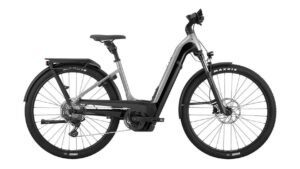 Cannondale Tesoro Neo X 1 WA